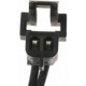 Purchase Top-Quality Courtesy Lamp Connector by BLUE STREAK (HYGRADE MOTOR) - S633 pa29