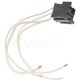 Purchase Top-Quality Connecteur de lampe de courtoisie par BLUE STREAK (HYGRADE MOTOR) - S729 pa2