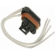 Purchase Top-Quality Courtesy Lamp Connector by BLUE STREAK (HYGRADE MOTOR) - S754 pa10