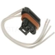 Purchase Top-Quality Courtesy Lamp Connector by BLUE STREAK (HYGRADE MOTOR) - S754 pa2