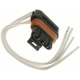 Purchase Top-Quality Courtesy Lamp Connector by BLUE STREAK (HYGRADE MOTOR) - S754 pa6