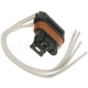 Purchase Top-Quality Courtesy Lamp Connector by BLUE STREAK (HYGRADE MOTOR) - S754 pa9
