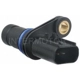 Purchase Top-Quality Crank Position Sensor by BLUE STREAK (HYGRADE MOTOR) - PC797 pa2
