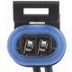 Purchase Top-Quality Crank Position Sensor Connector by BLUE STREAK (HYGRADE MOTOR) - TX3A pa54