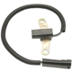 Purchase Top-Quality Crank Position Sensor by DELPHI - SS10221 pa19