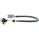 Purchase Top-Quality Crank Position Sensor by MOTORAD - 1KR131 pa3