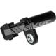 Purchase Top-Quality Capteur de position de vilbrequin par WALKER PRODUCTS - 235-1031 pa4