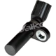 Purchase Top-Quality Capteur de position de vilbrequin de WALKER PRODUCTS - 235-1066 pa4