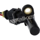Purchase Top-Quality Crank Position Sensor by WALKER PRODUCTS - 235-91031 pa1