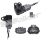 Purchase Top-Quality WALKER PRODUCTS - 235-91185 - Crankshaft Sensor pa5