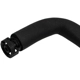 Purchase Top-Quality Crankcase Vent Hose by CRP/REIN - ABV0109R pa14