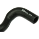 Purchase Top-Quality URO - 06A103221BM - Engine Crankcase Breather Hose pa4