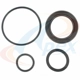 Purchase Top-Quality Crankshaft Seal Kit by APEX AUTOMOBILE PARTS - ATC11031 pa1
