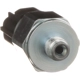 Purchase Top-Quality BLUE STREAK (HYGRADE MOTOR) - CCR1 - Cruise Control Switch pa6