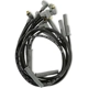 Purchase Top-Quality Custom Fit Ignition Wire Set by MSD IGNITION - 31373 pa5