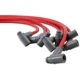 Purchase Top-Quality MSD IGNITION - 35599 - Custom Fit Ignition Wire Set pa16