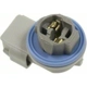 Purchase Top-Quality Daytime Running Lamp Socket by BLUE STREAK (HYGRADE MOTOR) - HP4245 pa14