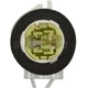 Purchase Top-Quality Daytime Running Lamp Socket by BLUE STREAK (HYGRADE MOTOR) - S1022 pa6