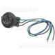 Purchase Top-Quality Daytime Running Lamp Socket by BLUE STREAK (HYGRADE MOTOR) - S585 pa10