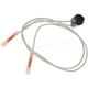 Purchase Top-Quality Daytime Running Lamp Socket by BLUE STREAK (HYGRADE MOTOR) - S766 pa2