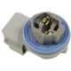 Purchase Top-Quality Daytime Running Lamp Socket by BLUE STREAK (HYGRADE MOTOR) - S923 pa1