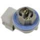 Purchase Top-Quality Daytime Running Lamp Socket by BLUE STREAK (HYGRADE MOTOR) - S923 pa25