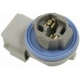 Purchase Top-Quality Daytime Running Lamp Socket by BLUE STREAK (HYGRADE MOTOR) - S923 pa26