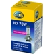 Purchase Top-Quality Feux de jour by HELLA - H7-70W pa2