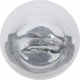 Purchase Top-Quality Daytime Running Light by PHILIPS - 3156B2 pa3