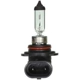 Purchase Top-Quality Feux de jour de WAGNER - BP9006 pa22