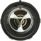 Purchase Top-Quality 174f/79c Thermostat by MOTORAD - 7247-174 1