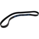 Purchase Top-Quality Air Conditioning And Power Steering Belt by CONTINENTAL - 17551 1