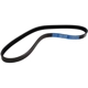 Purchase Top-Quality Air Conditioning And Power Steering Belt by CONTINENTAL - 15585 2