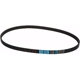 Purchase Top-Quality Air Conditioning, Fan And Power Steering Belt by CONTINENTAL - 15446 1