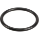 Purchase Top-Quality Automatic Transmission O-Ring by PIONEER - 762031-10 1