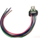 Purchase Top-Quality Body Harness Connector by STANDARD - PRO SERIES - S804 1