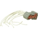 Purchase Top-Quality Dimmer Switch Connector by BWD AUTOMOTIVE - PT1691 1