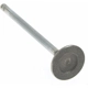 Purchase Top-Quality Exhaust Valve by ACDELCO - 12631974 1
