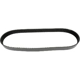 Purchase Top-Quality Accessory Drive Belt - Automotive V-Belt by CONTINENTAL - 15346 3
