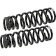 Purchase Top-Quality Front Coil Springs by DORMAN (OE SOLUTIONS) - 929-908 2