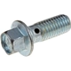 Purchase Top-Quality Front Hose To Caliper Bolt by DORMAN - 13947 2