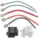 Purchase Top-Quality Connecteur d'interrupteur d'allumage par STANDARD - PRO SERIES - S1768 3