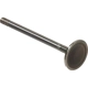 Purchase Top-Quality Intake Valve by DNJ ENGINE COMPONENTS - IV827 1
