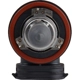 Purchase Top-Quality Low Beam Headlight by TRANSIT WAREHOUSE - 22-H155 1