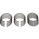 Purchase Top-Quality Piston Rings by ACDELCO - 25195065 3