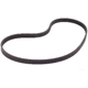 Purchase Top-Quality Power Steering Belt by CONTINENTAL - 15495 2