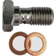 Purchase Top-Quality Rear Banjo Bolt (Pack of 10) by ACDELCO - 21012386 3