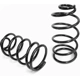 Purchase Top-Quality Rear Coil Springs by LESJOFORS - 4255456 2