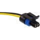 Purchase Top-Quality Speed Sensor Connector by BWD AUTOMOTIVE - PT189 1