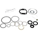 Purchase Top-Quality SUNSONG NORTH AMERICA - 8401308 - Power Steering Gear Seal Kit 1